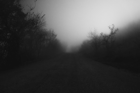 山林中的雾气图片