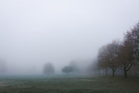 山林中的雾气图片