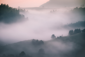 山林中的雾气图片