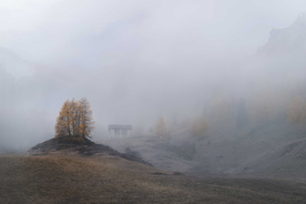 山林中的雾气图片