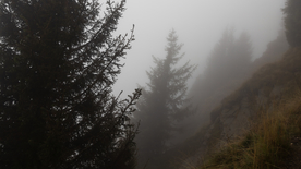 山林中的雾气图片