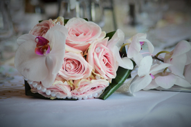 玫瑰花月季花图片