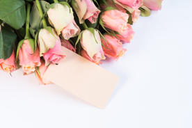 玫瑰花月季花图片