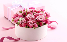 玫瑰花月季花图片