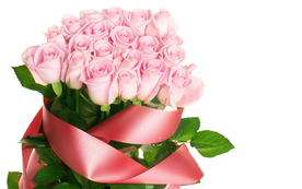 玫瑰花月季花图片