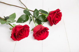 玫瑰花月季花图片