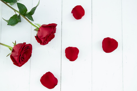 玫瑰花月季花图片