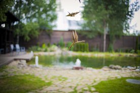 纸鹤折纸剪纸叠纸趣味图片