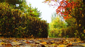 秋之韵----呼和浩特