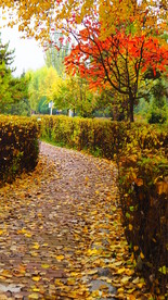 秋之韵-----呼和浩特