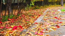 秋之韵-----呼和浩特