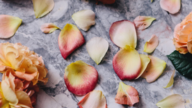 马卡龙五颜六色甜品图片