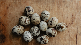 鹌鹑蛋特写图片