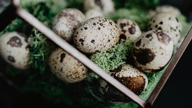 鹌鹑蛋特写图片