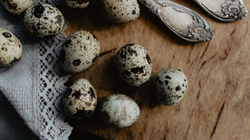 鹌鹑蛋特写图片