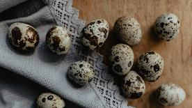 鹌鹑蛋特写图片