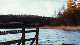 水边木质栈桥风景图片