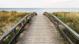 水边木质栈桥风景图片