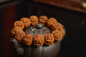 菩提子手串手链图片