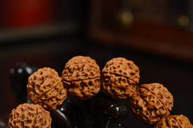 菩提子手串手链图片