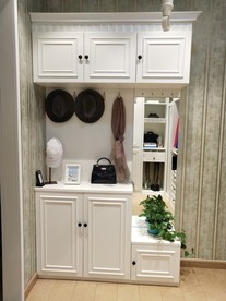 衣柜  鞋柜 展示柜  储物柜