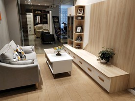 电视柜 北欧风 灰色 布艺沙发