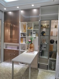 酒柜 书柜 现代  轻奢 展示