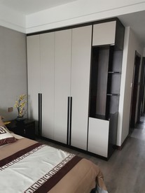 黑白衣柜  现代  轻奢 展示