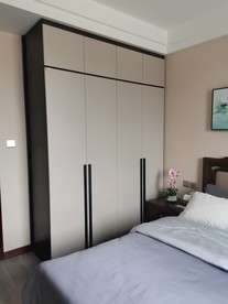 黑白衣柜  现代  轻奢 展示