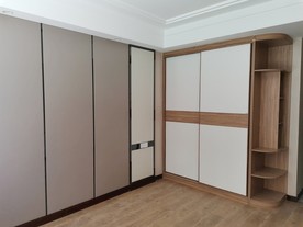 推拉衣柜  现代  轻奢 展示