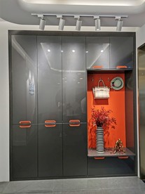 鞋柜 书柜 现代  轻奢 展示