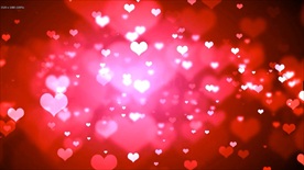 爱心视频素材