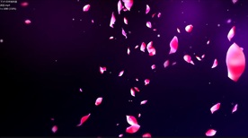 花瓣掉落高清视频