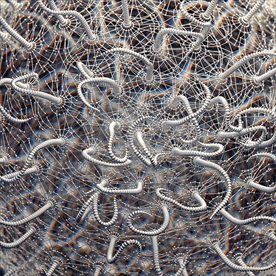 C4D特效设计科幻场景