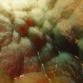 C4D特效设计图案