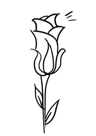 花花