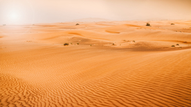 沙漠戈壁荒野遗迹图片