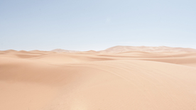 沙漠戈壁荒野遗迹图片