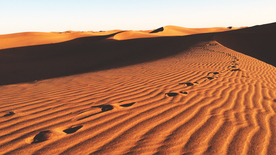 沙漠戈壁荒野遗迹图片