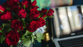 红玫瑰花月季花图片