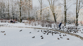 雪景公园雪景唯美图片
