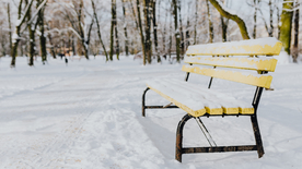 雪景公园雪景唯美图片