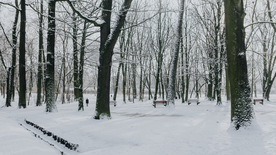 雪景公园雪景唯美图片