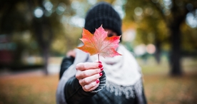 手中物品手捧东西图片