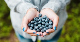 手中物品手捧东西图片