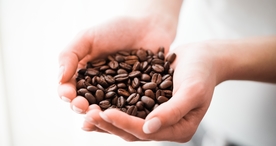 手中物品手捧东西图片