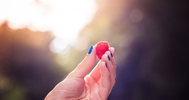 手中物品手捧东西图片