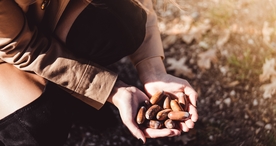 手中物品手捧东西图片