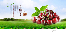 车厘子展板海报