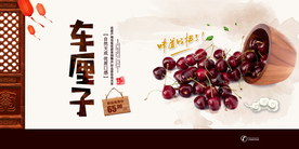 车厘子展板